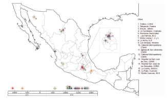 Regiones en México donde se han reportado posibles casos de treponematosis. Se señalan los sitios mediante dianas de color y numeración, para ubicar los sitios arqueológicos en el mapa y en la línea del tiempo. Elaboración propia.